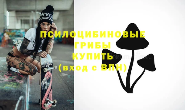 мет Аркадак