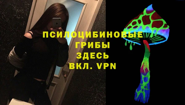 мет Аркадак