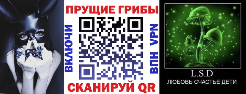 купить наркотики цена  Унеча  mega tor  Галлюциногенные грибы GOLDEN TEACHER 